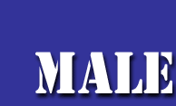 Male Centerfolds